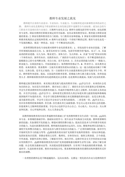 教师专业发展之我见