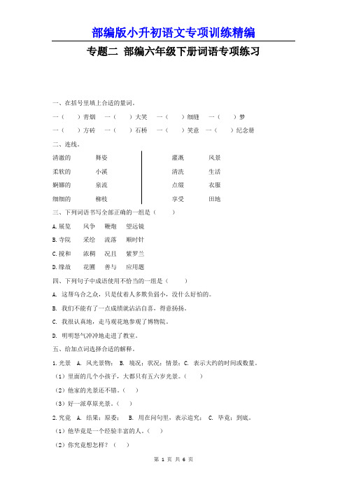 部编版小升初语文专项训练----词语专项训练精编附参考答案