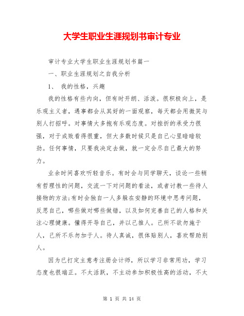 大学生职业生涯规划书审计专业