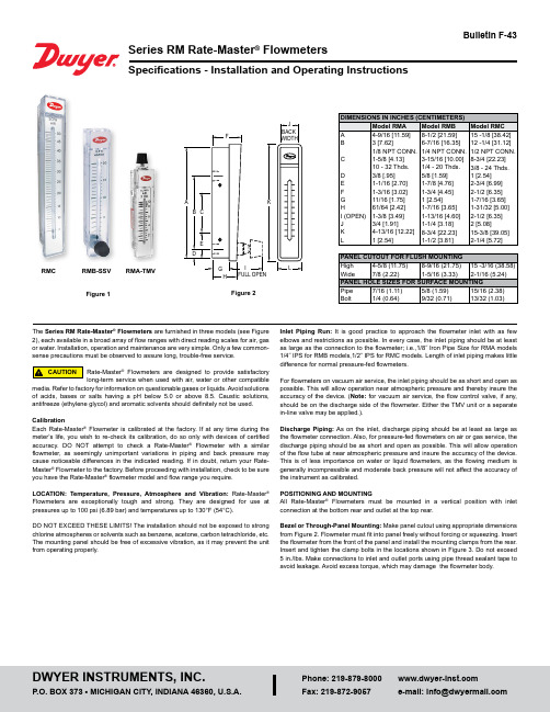 Series RM Rate-Master Flowmeters 说明书