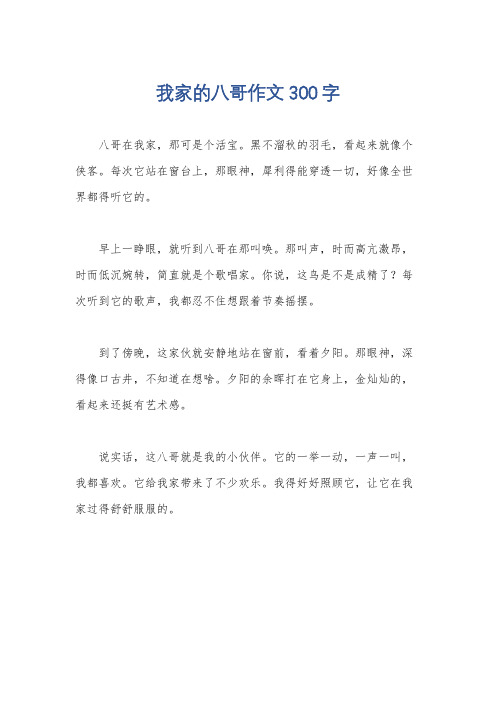 我家的八哥作文300字