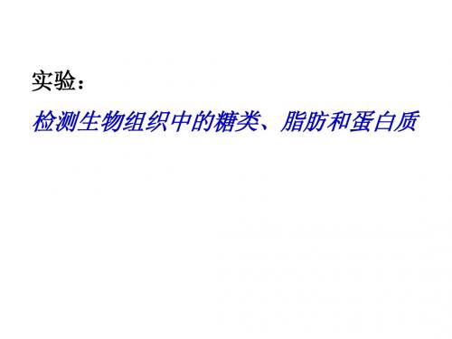 实验课  生物组织中糖类、脂肪和蛋白质的检测