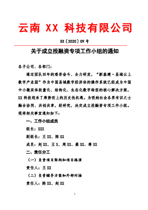 关于成立投融资专项小组的通知模板