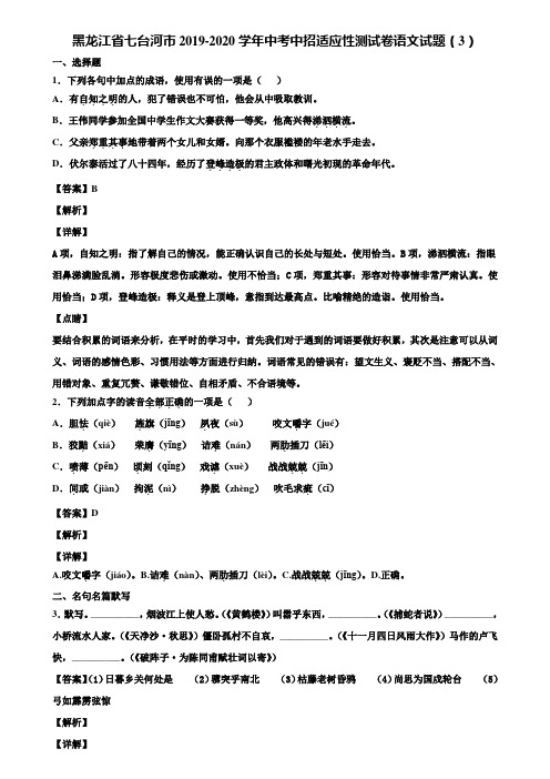 黑龙江省七台河市2019-2020学年中考中招适应性测试卷语文试题(3)含解析