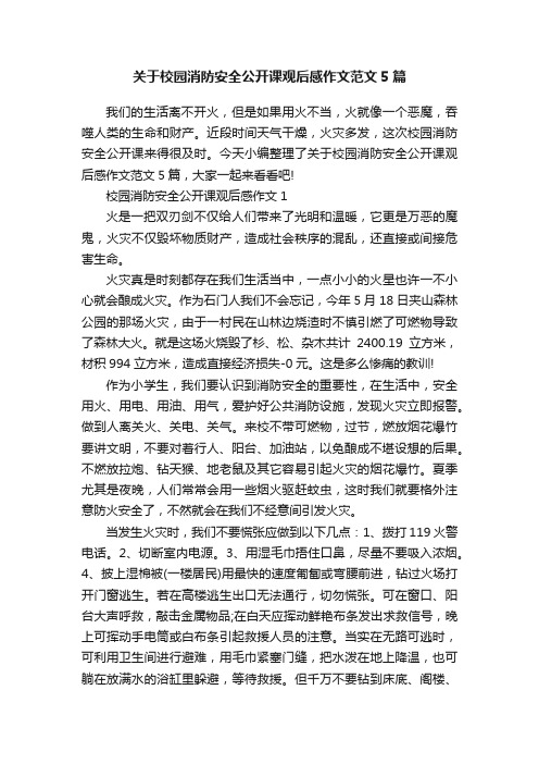 关于校园消防安全公开课观后感作文范文5篇