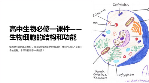 高中生物必修一课件-生物细胞的结构和功能