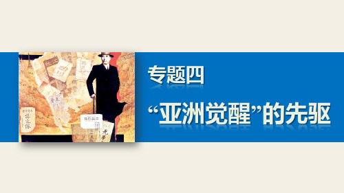 高二历史人民版选修4课件4.4 “土耳其之父”凯末尔