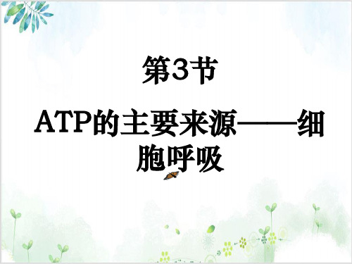 人教版高中生物必修一ATP的主要来源——细胞呼吸(24张)-PPT优秀课件