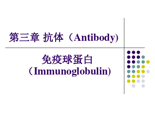 第三章 抗体(antibody)概论