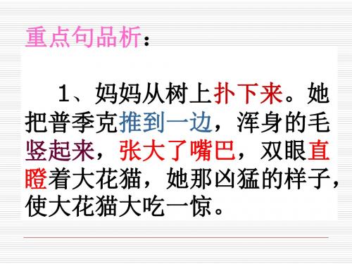 五上课件 小麻雀 ppt(s版语文)