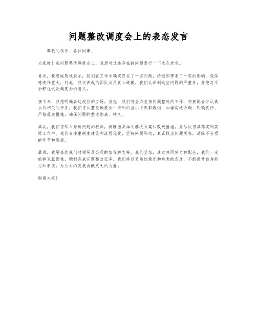 问题整改调度会上的表态发言