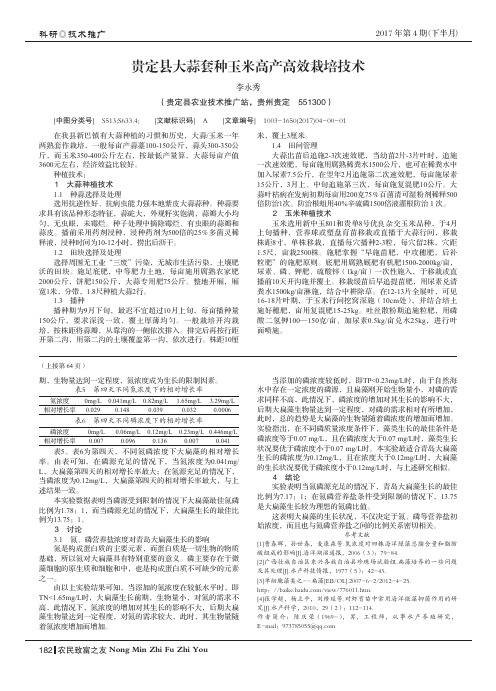 贵定县大蒜套种玉米高产高效栽培技术