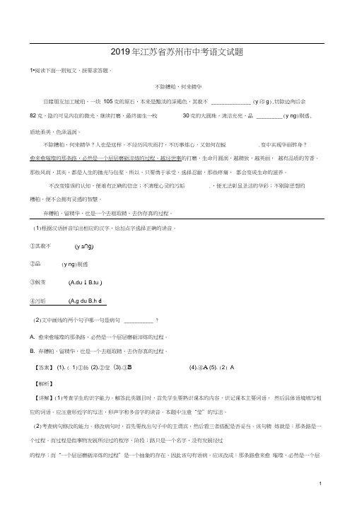 《中考真题》江苏省苏州市2019年中考语文试题(解析)