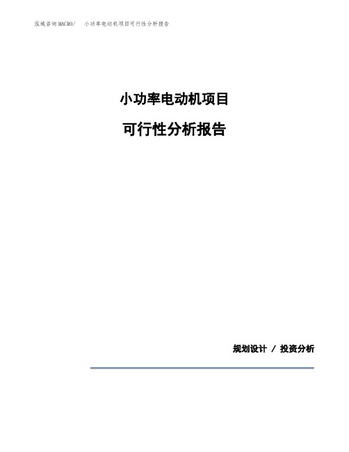 小功率电动机项目可行性分析报告(模板参考范文)