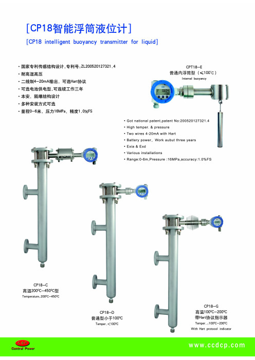 CP18智能浮筒液位计