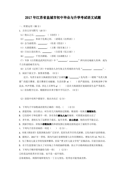 盐城卷##江苏2017中考语文试题