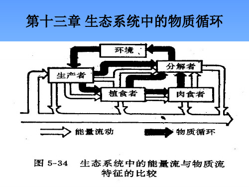 基础生态学：第十三章 生态系统的物质循环