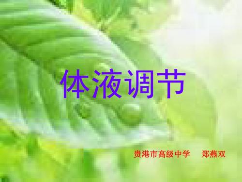 高二生物体液调节