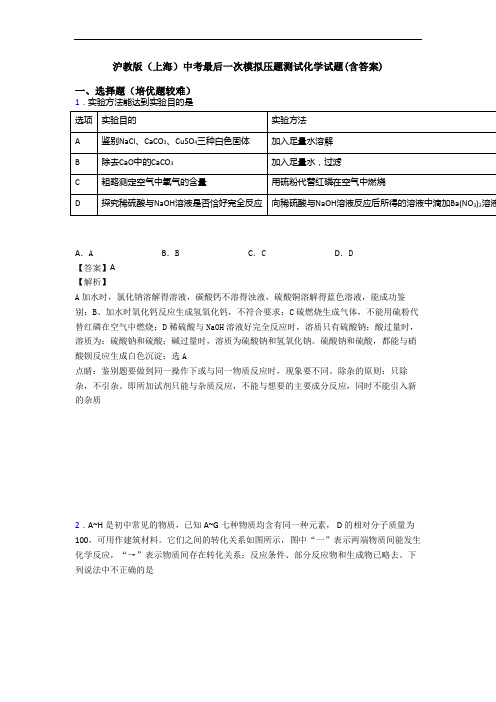 沪教版(上海)中考最后一次模拟压题测试化学试题(含答案)