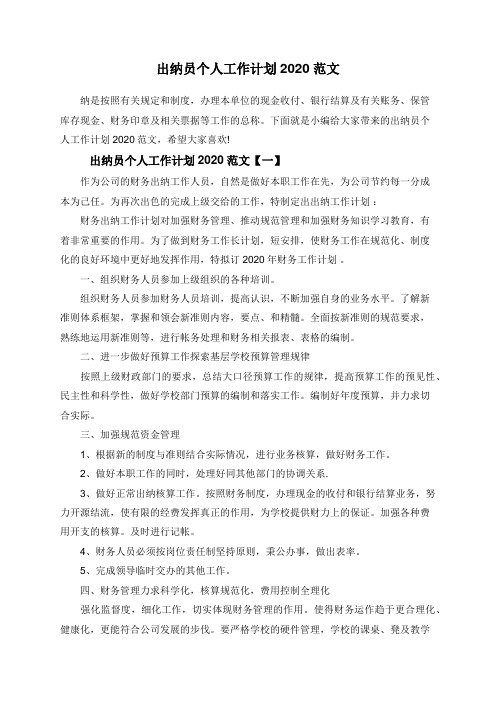 出纳员个人工作计划2020范文