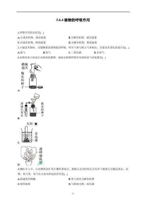 3.6.4植物的呼吸作用—2022-2023学年苏教版生物七年级上册堂堂练(word版 含解析)