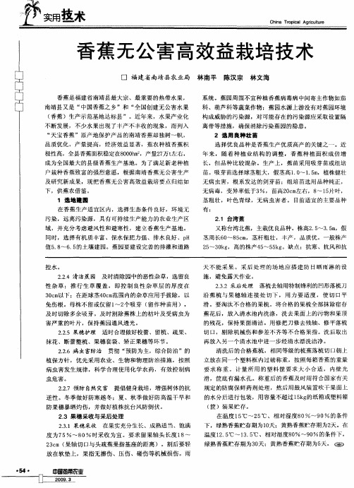 香蕉无公害高效益栽培技术