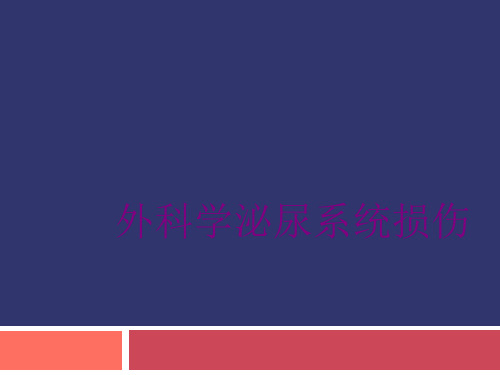 外科学泌尿系统损伤优质PPT课件