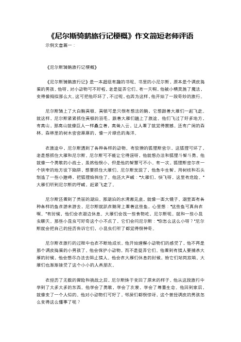 《尼尔斯骑鹅旅行记梗概》作文简短老师评语