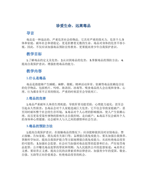 《珍爱生命,远离毒品》主题班会教案