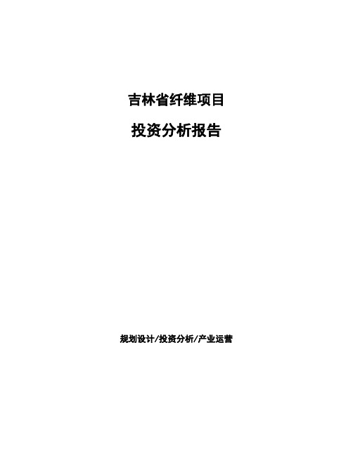 吉林省纤维项目投资分析报告