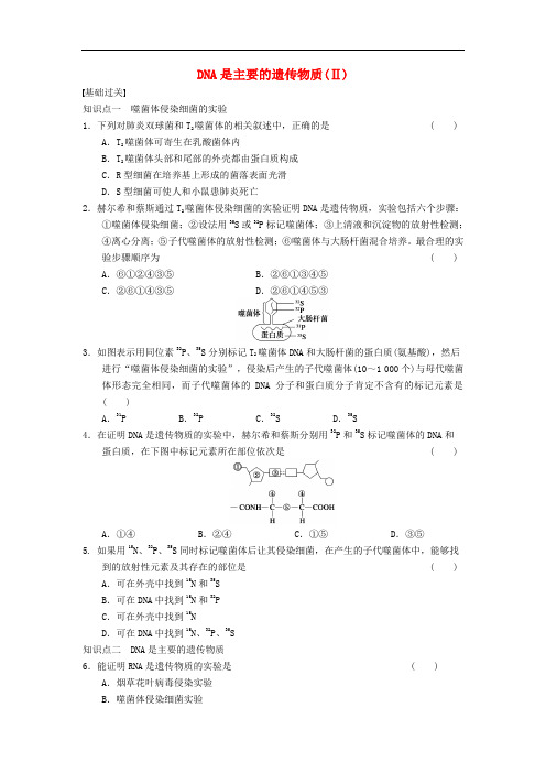 DNA是主要的遗传物质(Ⅱ) 基础过关 知识点一噬菌体侵染细菌的实验