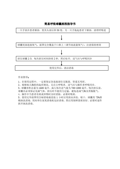 简易呼吸球囊流程指导书