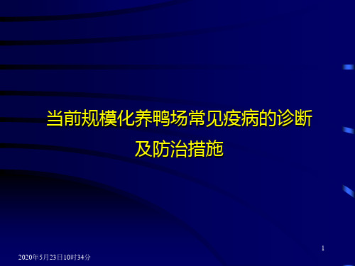 当前规模化养鸭场常见疫病的诊断及防治措施