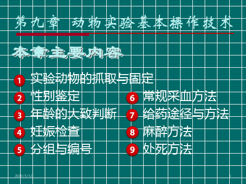 实验动物的抓取与固定