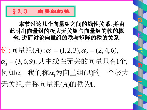 向量组的秩与极大无关组