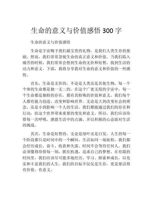 生命的意义与价值感悟300字