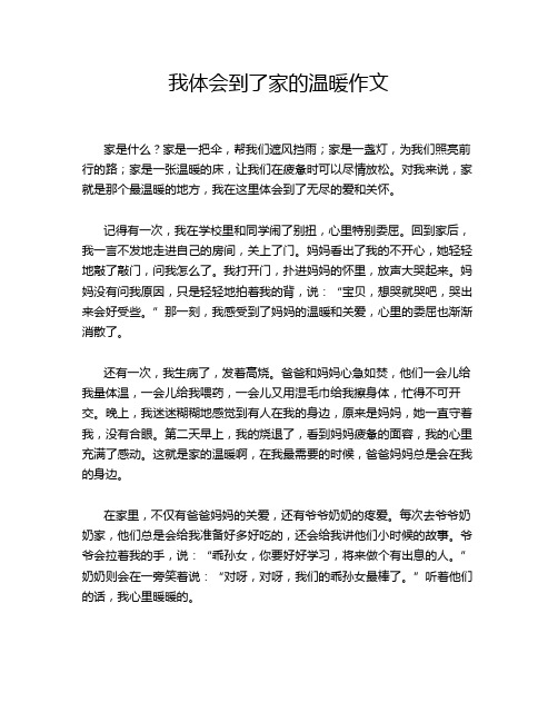 我体会到了家的温暖作文