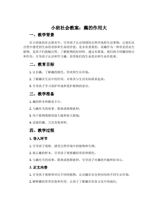 小班社会教案：藕的作用大