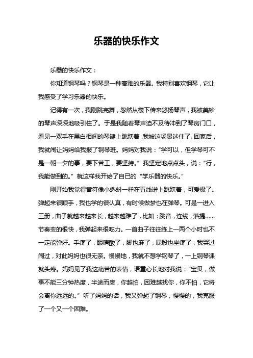 乐器的快乐作文