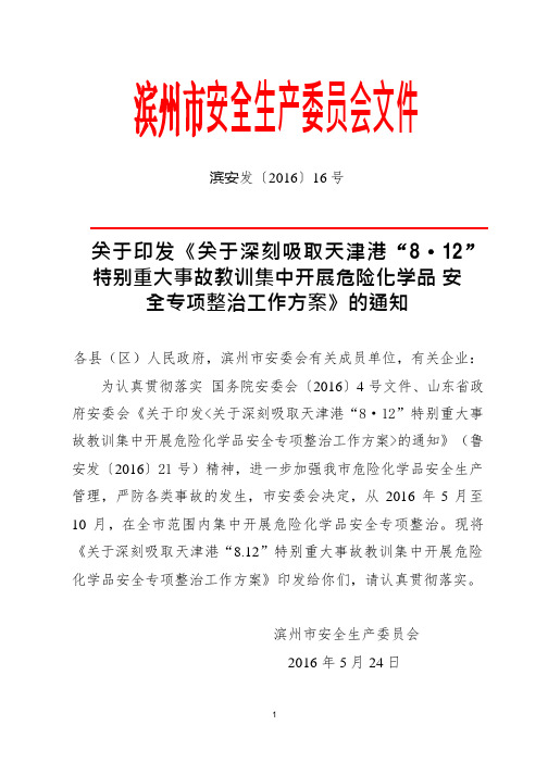 关于印发《关于深刻吸取天津港“8.12”特别重大事故教训集中开展危险化学品安全专项整治工作方案》的通知13