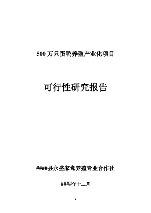 500万蛋鸭养殖繁育产业化项目可行性研究报告