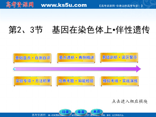 2012高三生物一轮同步辅导课件人教版：必修二第二章第2、3节  基因在染色体上•伴性遗