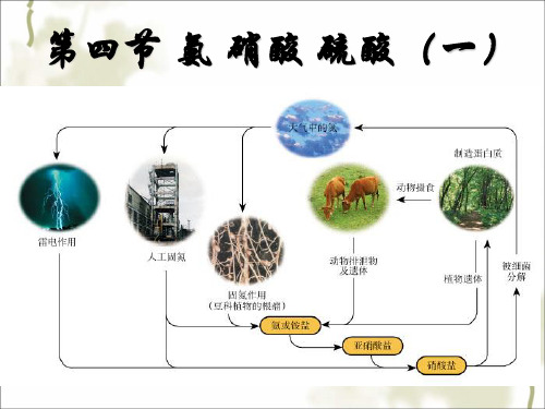 人教版高中化学精品系列 必修一 氨气 课件