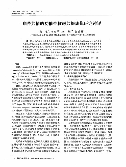 痛苦共情的功能性核磁共振成像研究述评