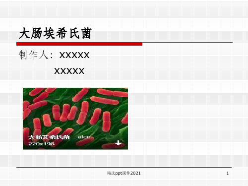 大肠埃希菌PPT课件