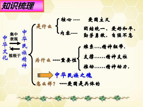 高中政治 弘扬中华民族精神课件 新人教版必修3