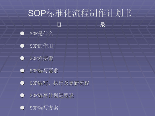 SOP标准化流程制作计划书