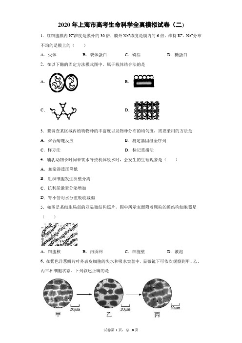 2020年上海市高考生命科学全真模拟试卷(二)(带答案解析)