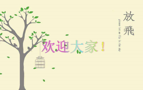 计算机概述 PPT