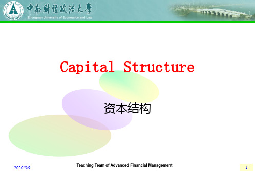 资本结构(Capital Structure)